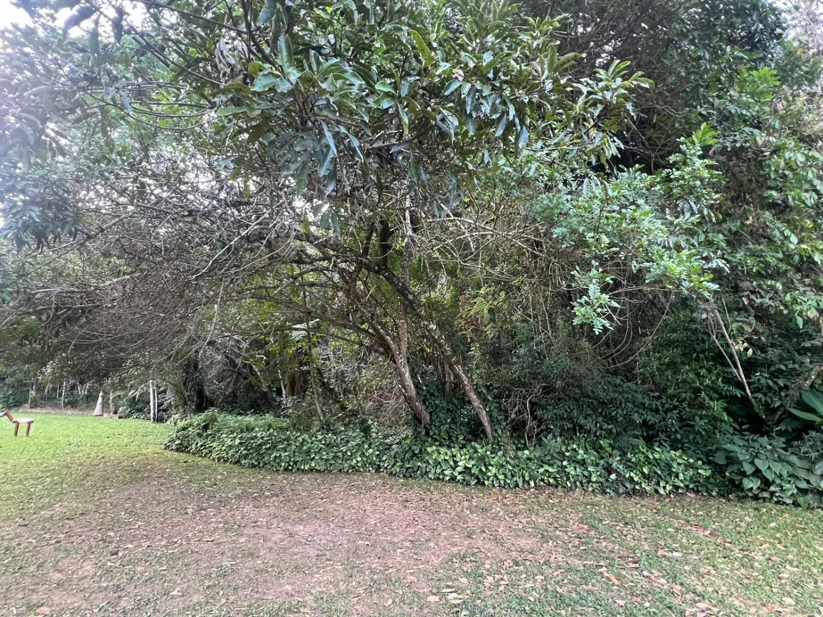 Pousada Candonga Da Serra Tiradentes Exterior foto